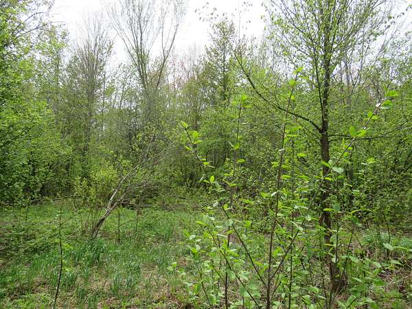 109 Acres of Recreational Land for Sale in Sidnaw, Michigan