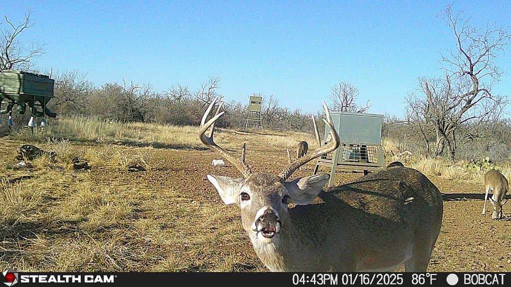 333 Acres of Land with Home for Sale in Gouldbusk, Texas