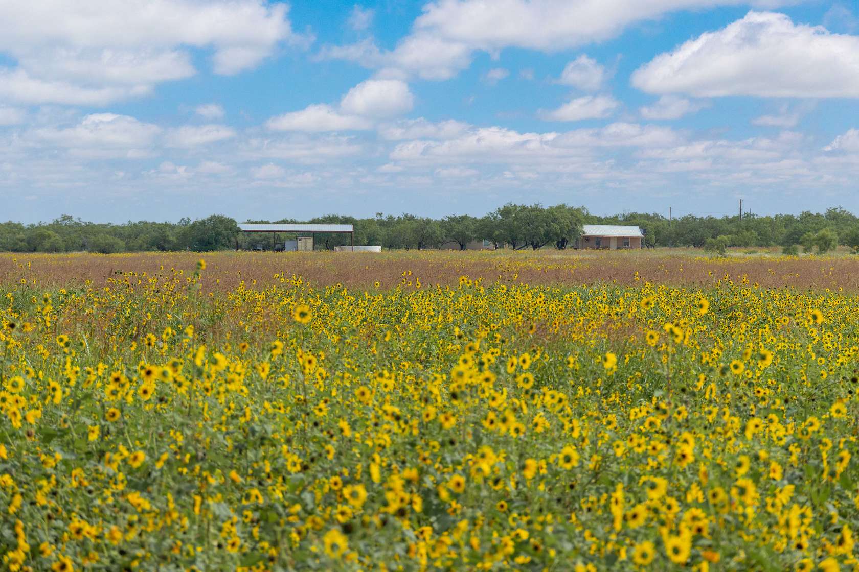 333 Acres of Land with Home for Sale in Gouldbusk, Texas