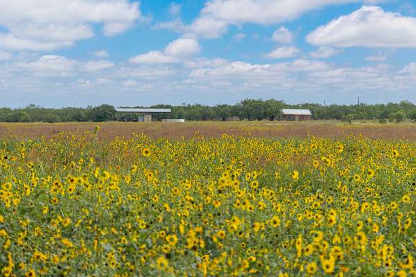 333 Acres of Land with Home for Sale in Gouldbusk, Texas