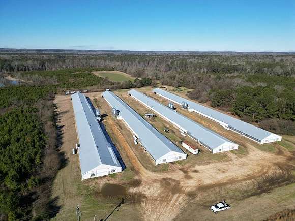 13 Acres of Agricultural Land for Sale in Grady, Alabama