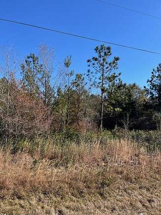 2.68 Acres of Residential Land for Sale in Homerville, Georgia