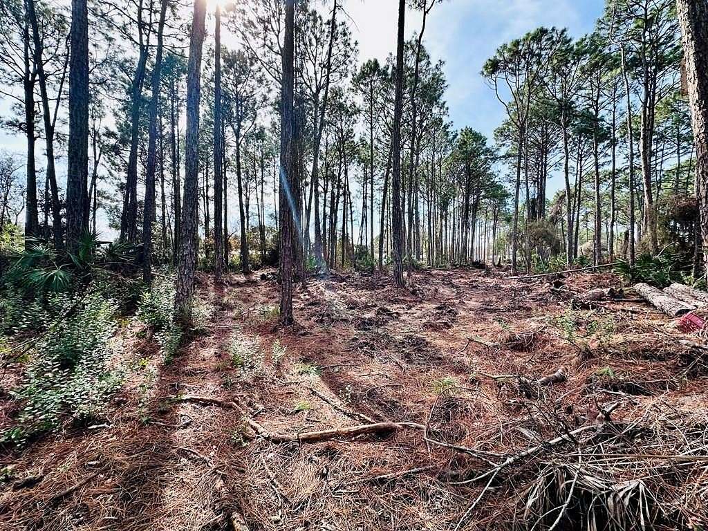 1.4 Acres of Residential Land for Sale in Eastpoint, Florida