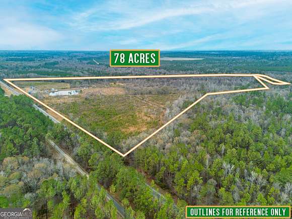 79 Acres of Recreational Land & Farm for Sale in McRae-Helena, Georgia