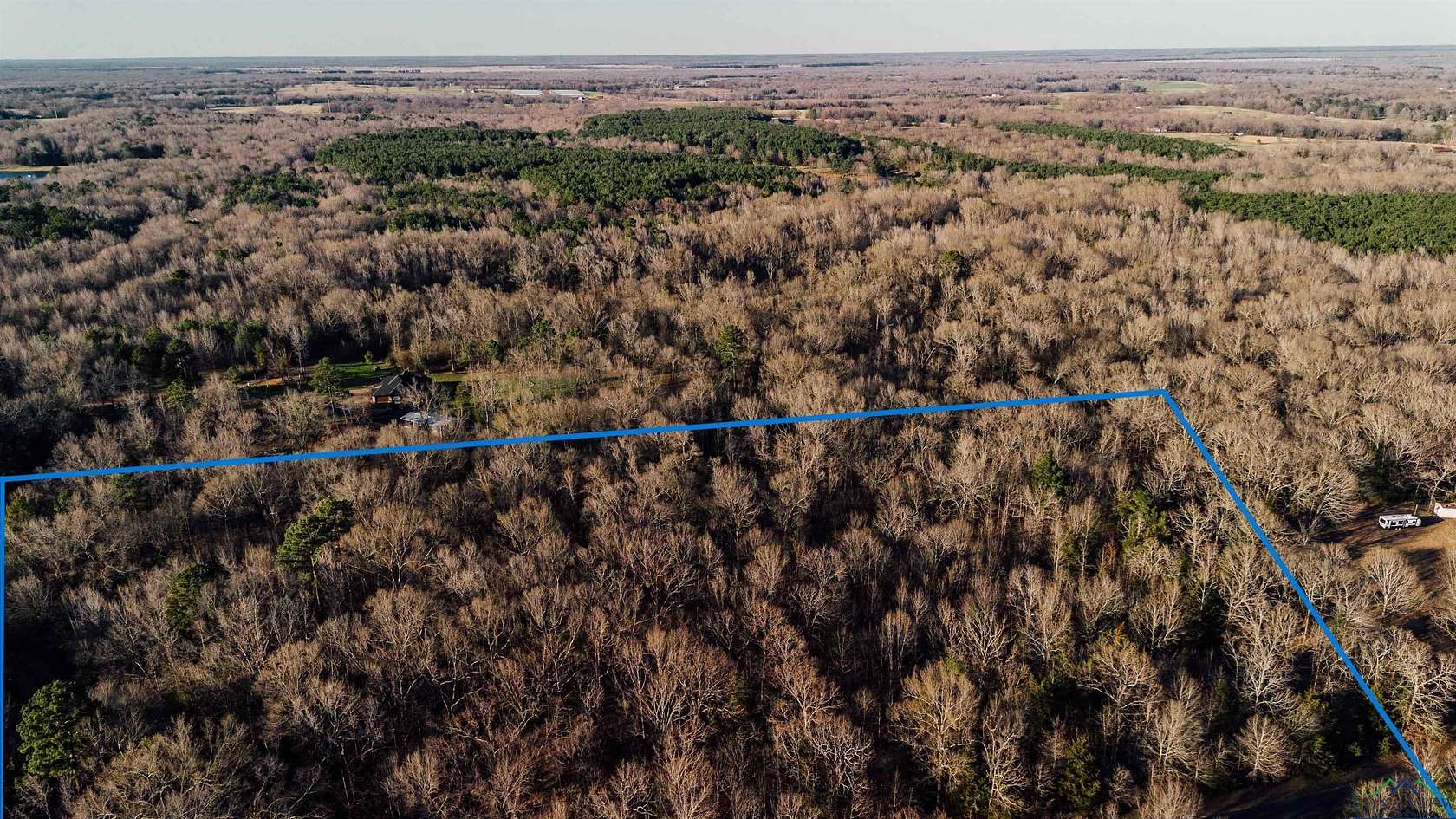 15 Acres of Recreational Land for Sale in Omaha, Texas