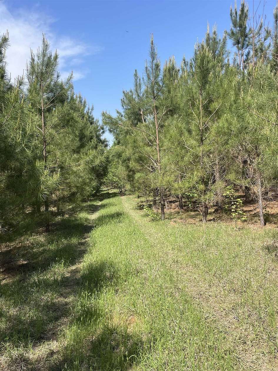 40 Acres of Recreational Land for Sale in Doddridge, Arkansas