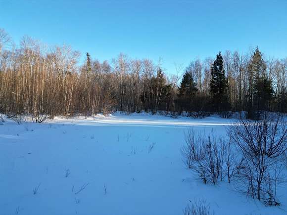 109 Acres of Recreational Land for Sale in Carroll Plantation, Maine