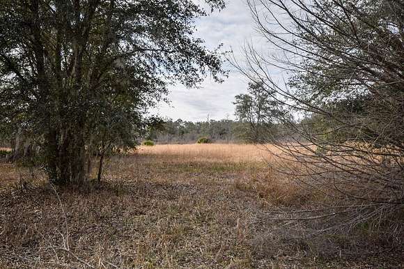 3 Acres of Residential Land for Sale in Old Town, Florida