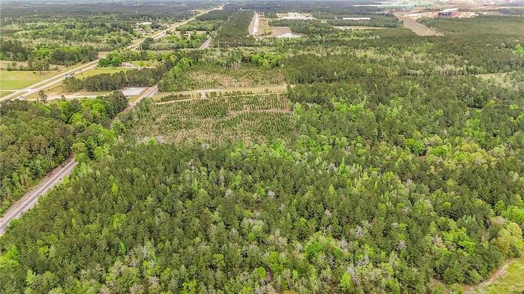 38 Acres of Land for Sale in Mount Vernon, Alabama