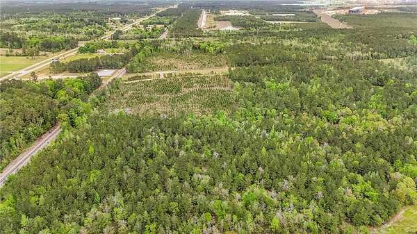 38 Acres of Land for Sale in Mount Vernon, Alabama