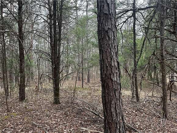 4.24 Acres of Residential Land for Sale in Thomasville, North Carolina