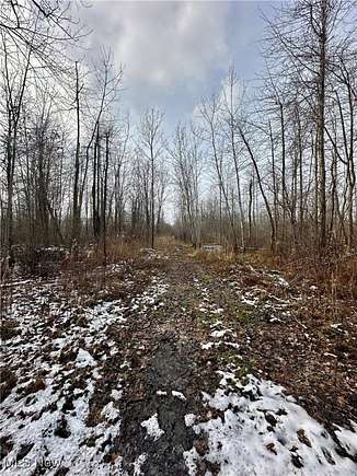 32.75 Acres of Recreational Land for Sale in Ashtabula, Ohio