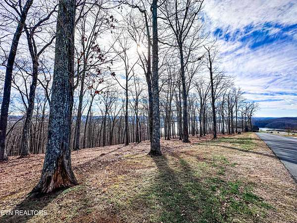 4.22 Acres of Residential Land for Sale in Rockwood, Tennessee