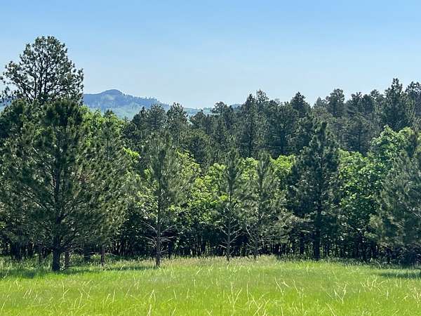 2.69 Acres of Residential Land for Sale in Whitewood, South Dakota