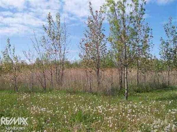 1.28 Acres of Commercial Land for Sale in Marysville, Michigan