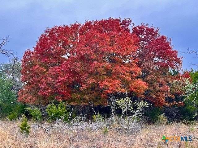 20.8 Acres of Land for Sale in Lampasas, Texas