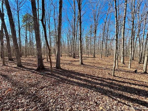 40.4 Acres of Recreational Land for Sale in Bunker, Missouri
