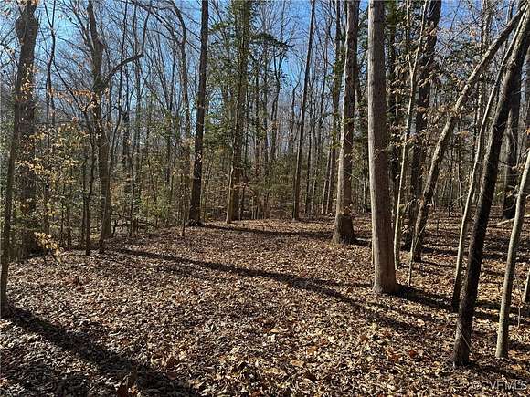 3.202 Acres of Residential Land for Sale in Claremont, Virginia