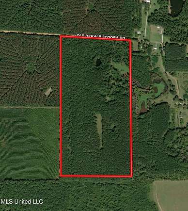 80 Acres of Recreational Land for Sale in Scooba, Mississippi