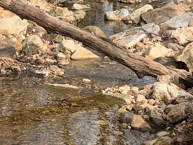 35 Acres of Recreational Land & Farm for Sale in Yellville, Arkansas