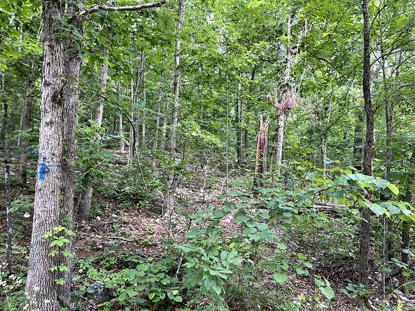 6 Acres of Land for Sale in Mammoth Spring, Arkansas