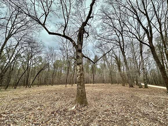 138 Acres of Recreational Land for Sale in Pulaski, Mississippi