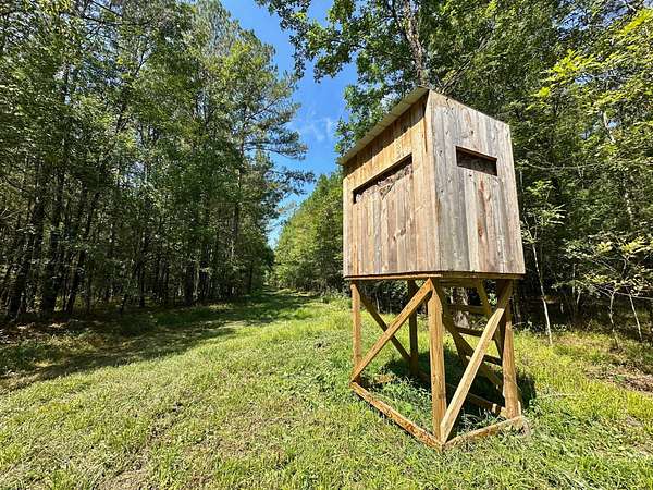 138 Acres of Recreational Land for Sale in Pulaski, Mississippi