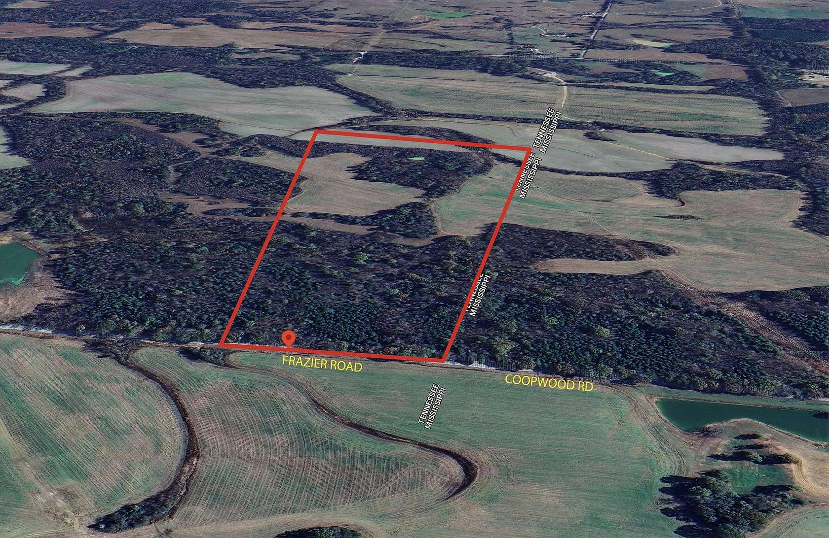 60 Acres of Land for Sale in Rossville, Tennessee