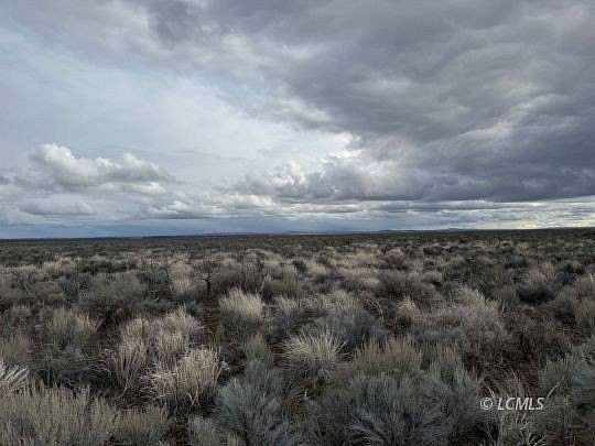 40 Acres of Agricultural & Residential Land for Sale in Christmas Valley, Oregon