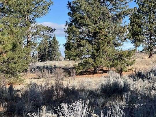 1 Acre of Residential Land for Sale in Chiloquin, Oregon