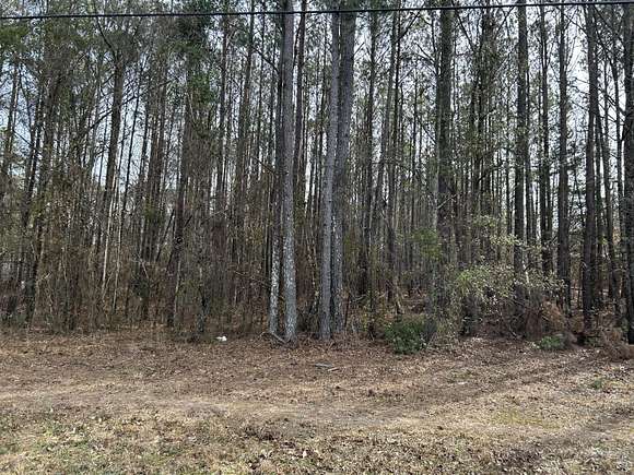 1.28 Acres of Residential Land for Sale in Appling, Georgia