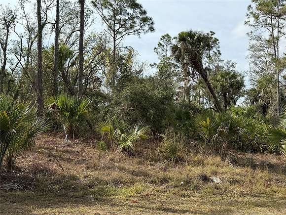 0.23 Acres of Residential Land for Sale in Port Charlotte, Florida