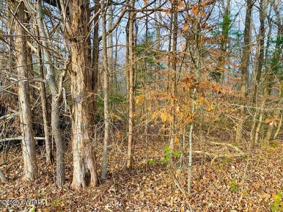 0.41 Acres of Land for Sale in Cedar Grove, Tennessee