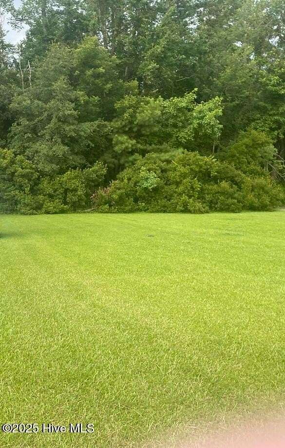 0.3 Acres of Land for Sale in Fair Bluff, North Carolina