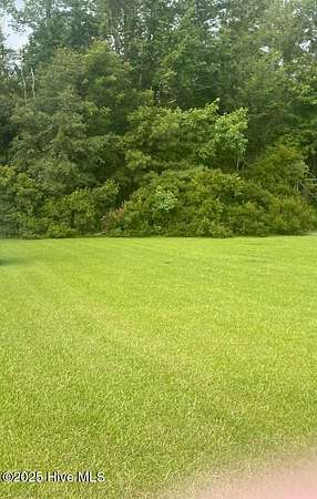 0.3 Acres of Land for Sale in Fair Bluff, North Carolina