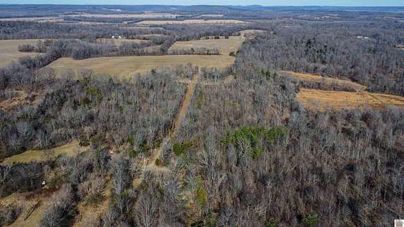 129.5 Acres of Land for Sale in Smithland, Kentucky