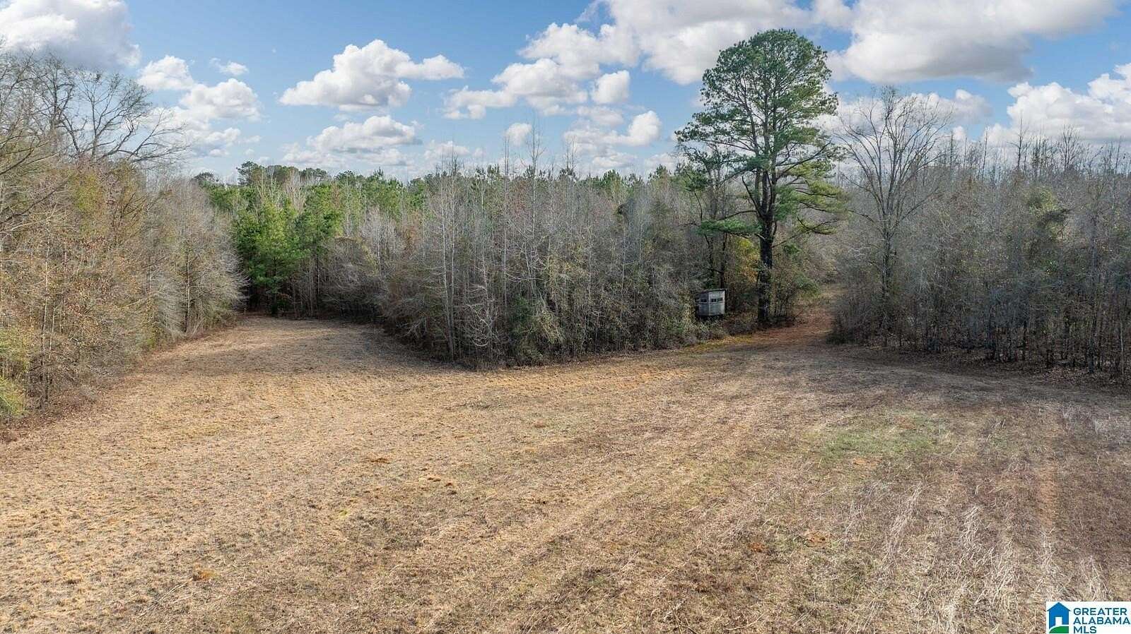 292 Acres of Recreational Land for Sale in Akron, Alabama