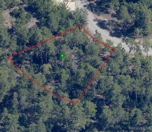 0.28 Acres of Residential Land for Sale in Homosassa, Florida