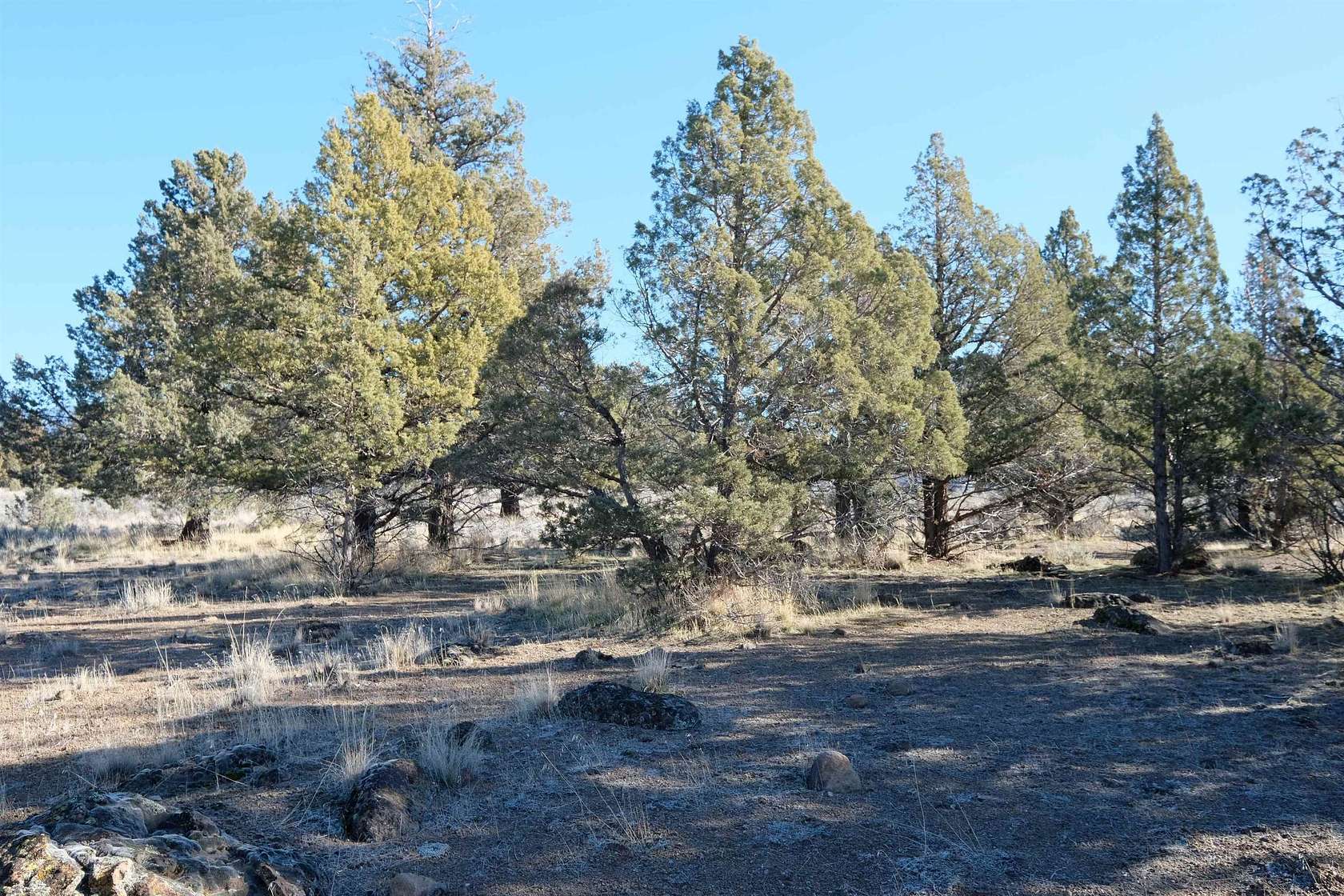 0.26 Acres of Residential Land for Sale in Weed, California