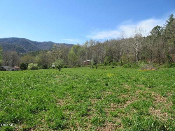 64 Acres of Land for Sale in Butler, Tennessee