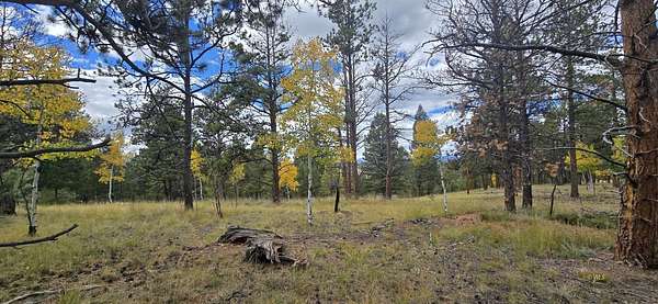 0.59 Acres of Residential Land for Sale in Florissant, Colorado