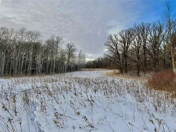 40 Acres of Land for Sale in Mahnomen, Minnesota