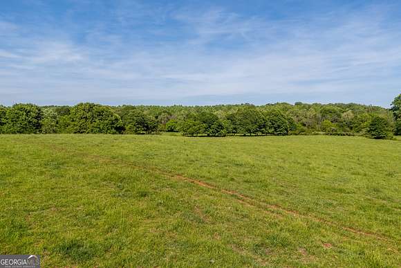 16 Acres of Land for Sale in Carnesville, Georgia