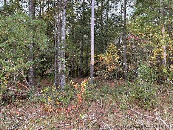 8.88 Acres of Residential Land for Sale in Maxton, North Carolina