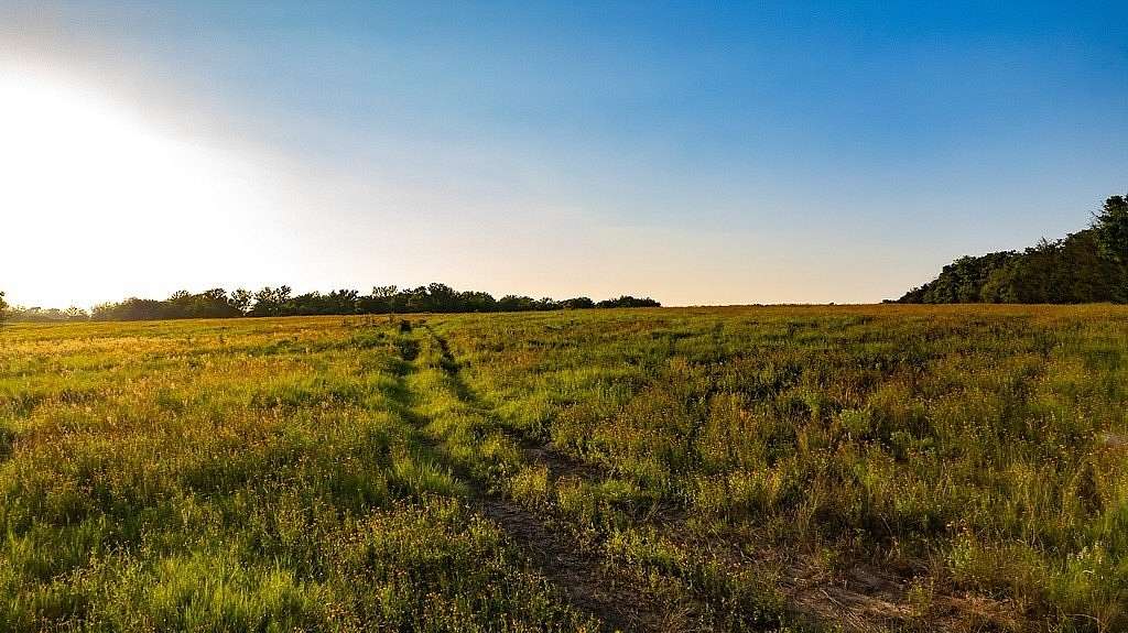 3.75 Acres of Residential Land for Sale in Cameron, Texas