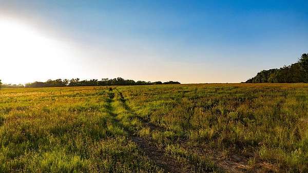 3.75 Acres of Residential Land for Sale in Cameron, Texas