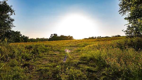 3.33 Acres of Residential Land for Sale in Cameron, Texas