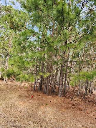 0.67 Acres of Residential Land for Sale in Greenwood, South Carolina