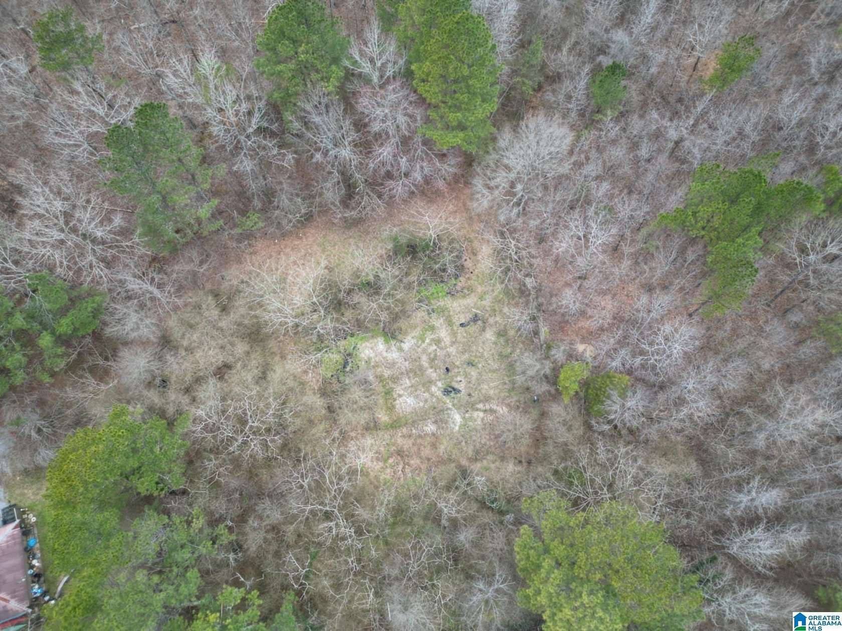 3.72 Acres of Residential Land for Sale in Warrior, Alabama