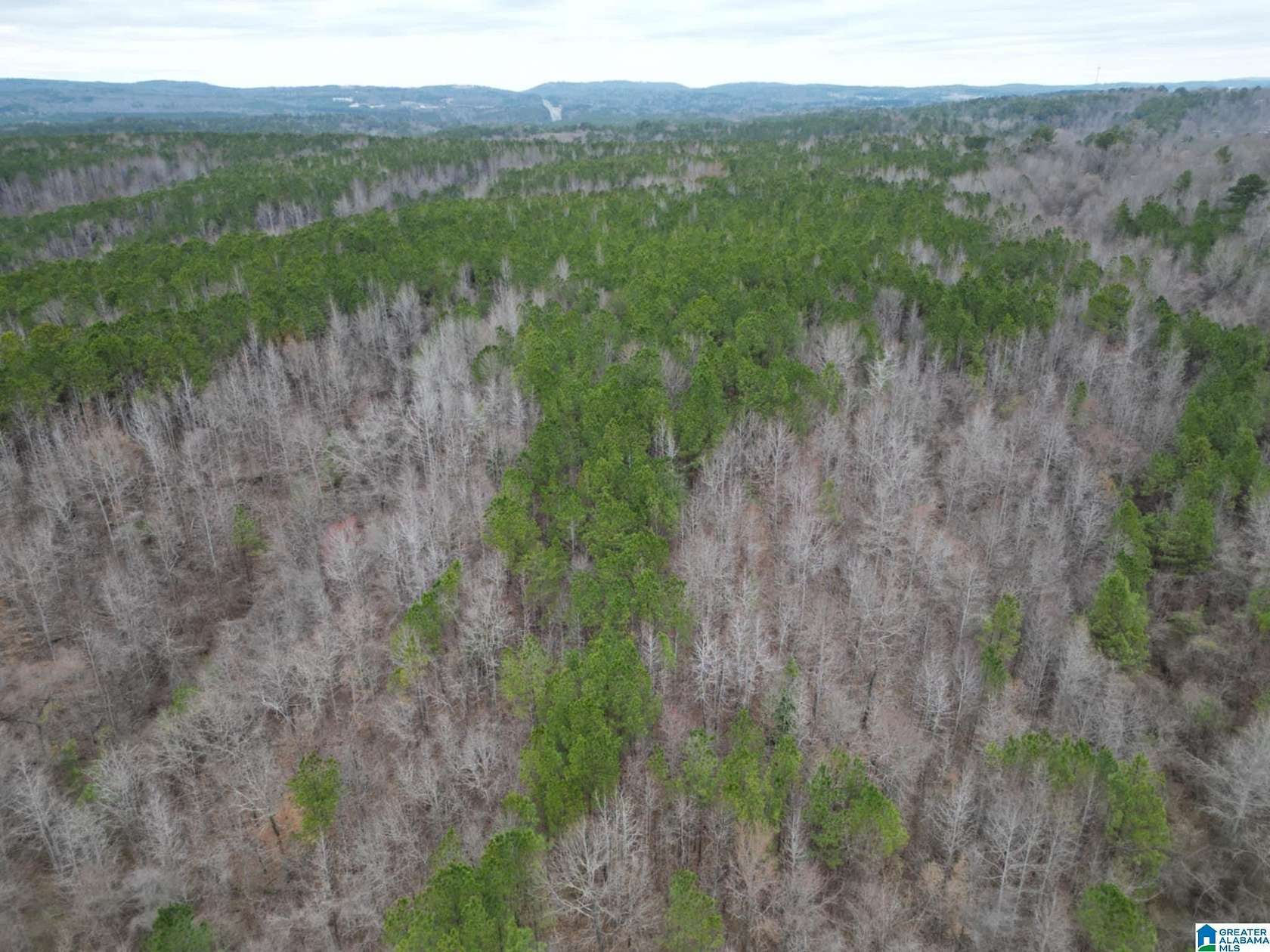 3.72 Acres of Residential Land for Sale in Warrior, Alabama